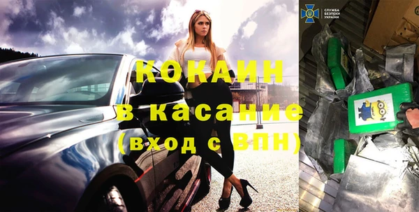 шишки Алзамай