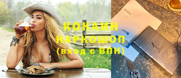 шишки Алзамай