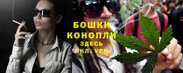 шишки Алзамай